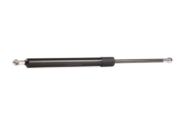 RIDEX 219G0530 Coffre à bagages Renault Scenic 1 2.0 16V RX4 Essence 139 CV 2001