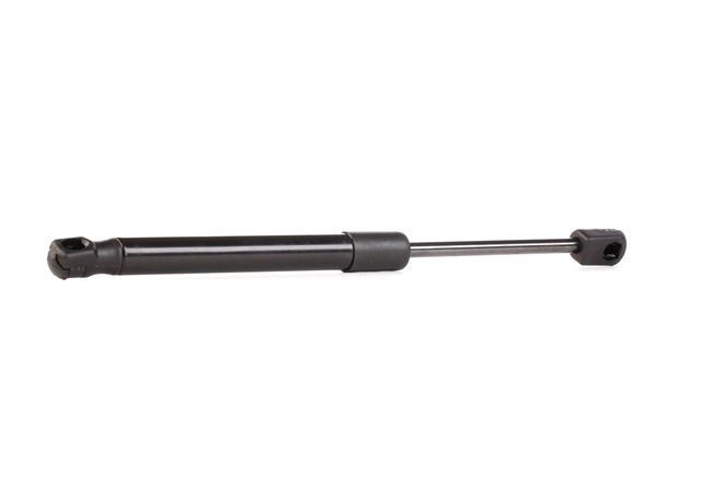 RIDEX 219G0454 Maletero HYUNDAI SONATA V (NF) 3.3 Gasolina 235 cv 2010 precio