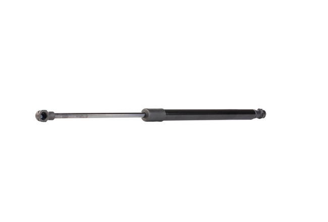 RIDEX 6895002091 Gasveer achterklep
