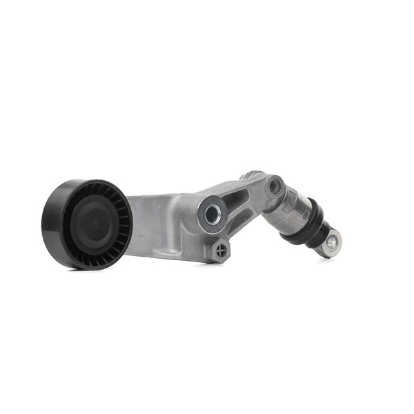 1662022013 OE RIDEX Spannrolle, Keilrippenriemen 310T0252