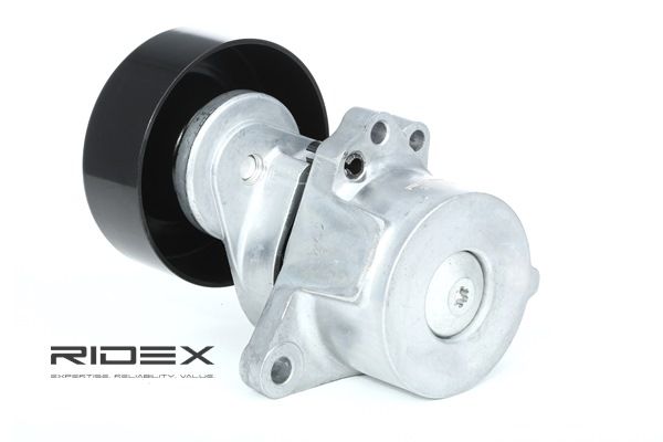 310T0109 RIDEX Polea tensora NISSAN KUBISTAR