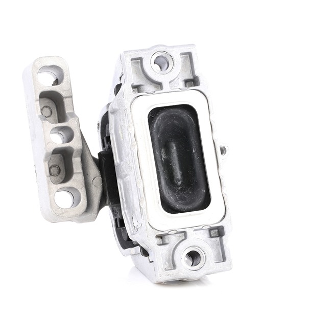 RIDEX 247E0037 Moottorin kumityyny VW Passat B6 Variant 3C5 2.0 FSI Bensiini 150 hv 2006