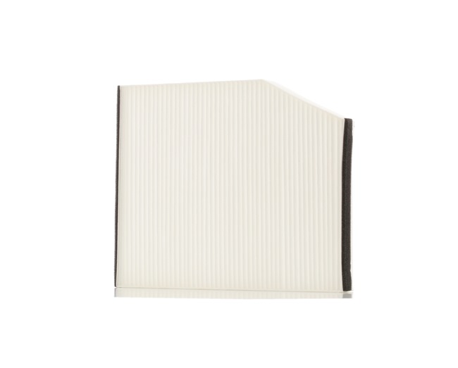 BK2118D543AA OE STARK Pollen filter SKIF-0170400