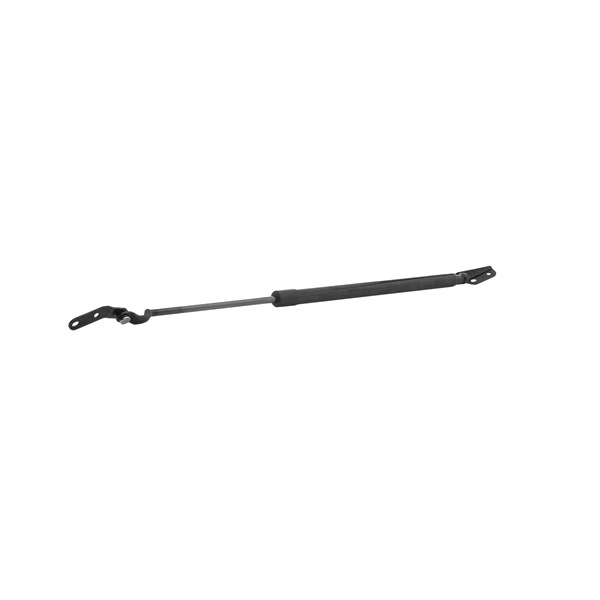 6895019525 OE STARK Tailgate strut SKGS-0220757