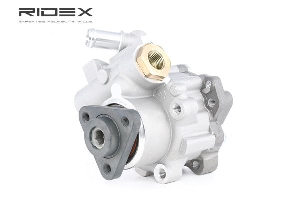 RIDEX 12H0107 Elektrische Servopumpe BMW E53 4.6is Benzin 347 PS 2001
