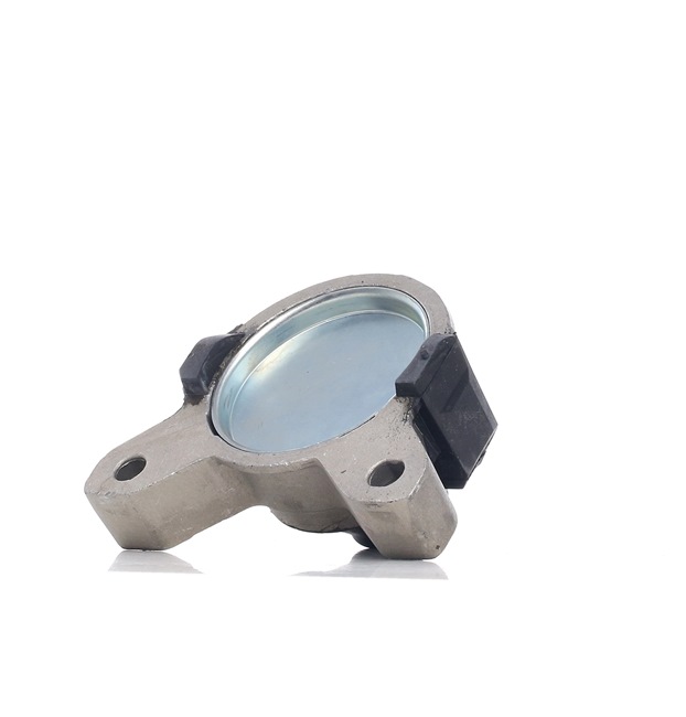 TEDGUM Supporto, Sospensione motore 00222724