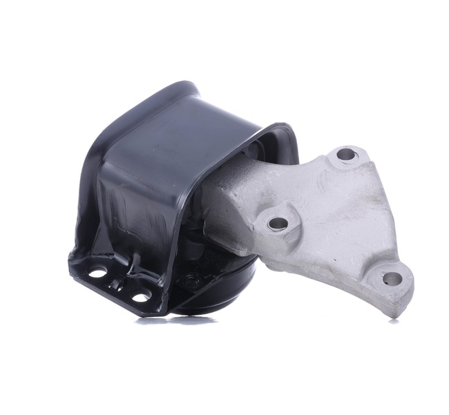 9636270080 OE TEDGUM Variklio montavimas 00516309