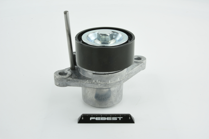FEBEST 0290-G15RA Tensor de correa RENAULT TWINGO II (CN0_) 1.2 Turbo Gasolina 100 cv 2010 precio
