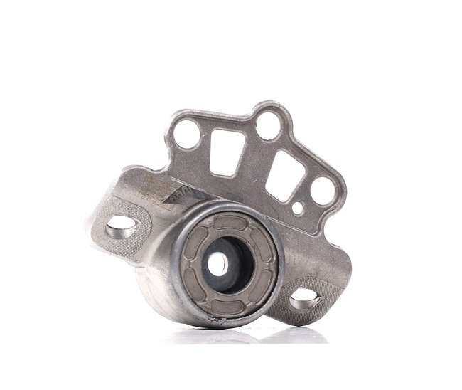 Fjäderbenslager MAGNETI MARELLI 030607010617
