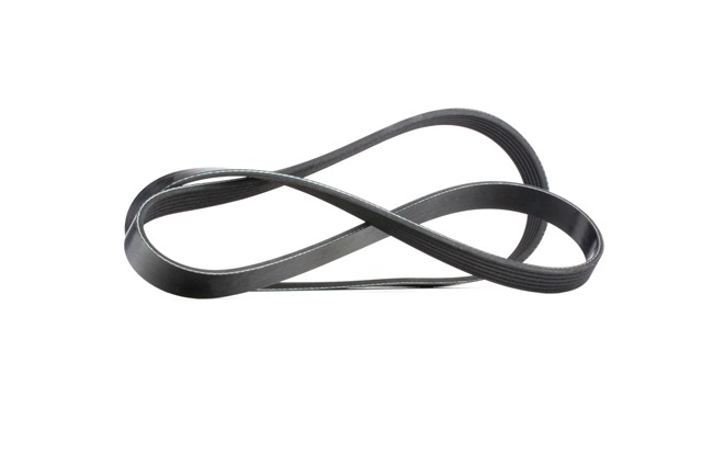 1316336 OE MEYLE Serpentine belt 050 006 1520