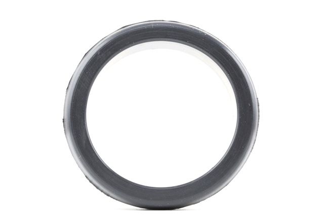 11617801222 OE FA1 Seal Ring 076.365.100