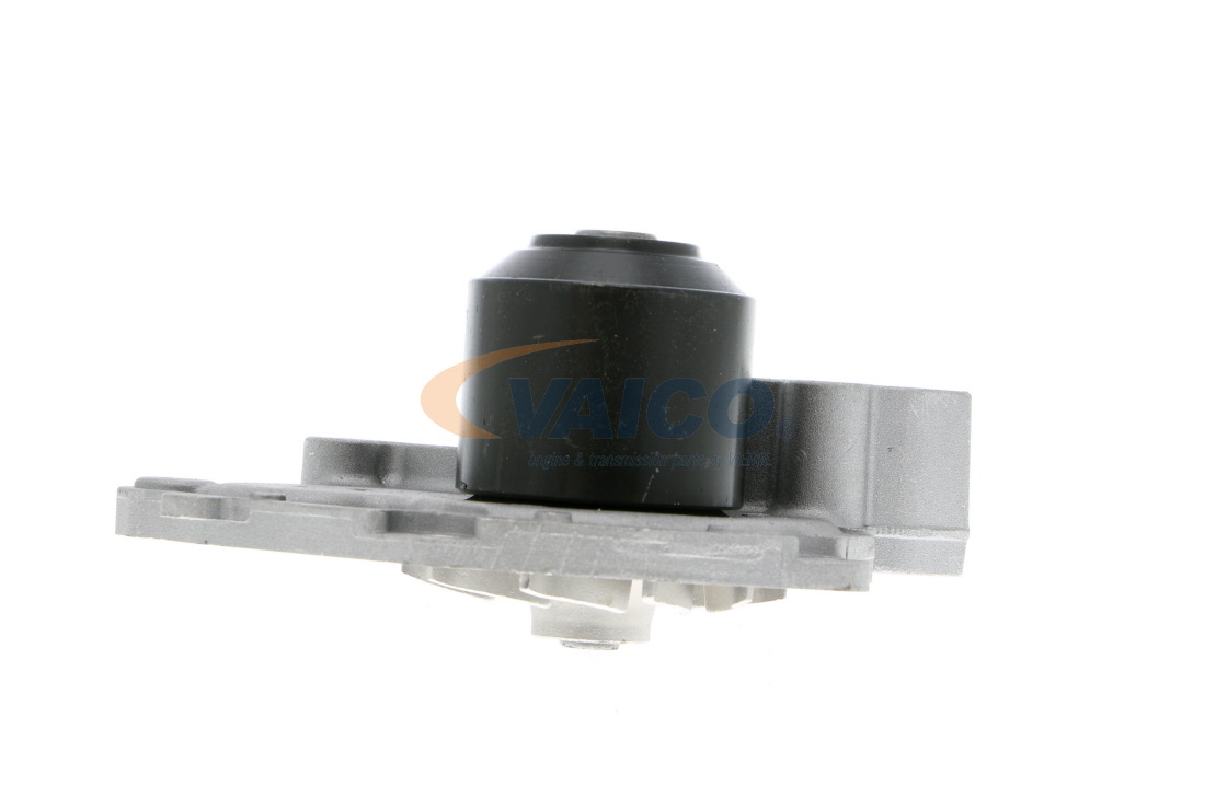 VAICO V38-50006 Vandens siurblys RENAULT Megane II Hatchback (BM, CM) 1.9 dCi dyzelinas 92 AG 2006