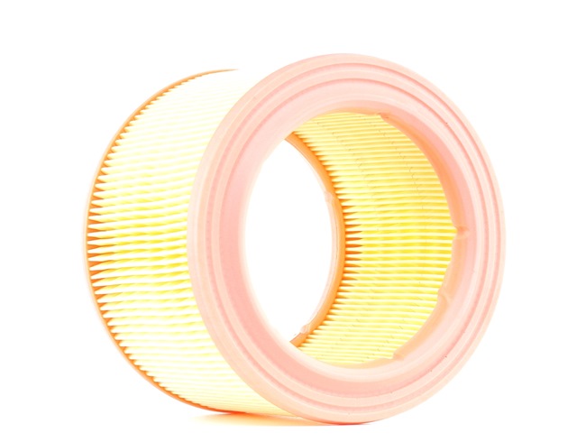 AUTOMEGA Luftfilter 180029810