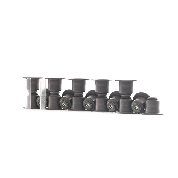 CORTECO 19036483 BMW 6 Series valve seals cost