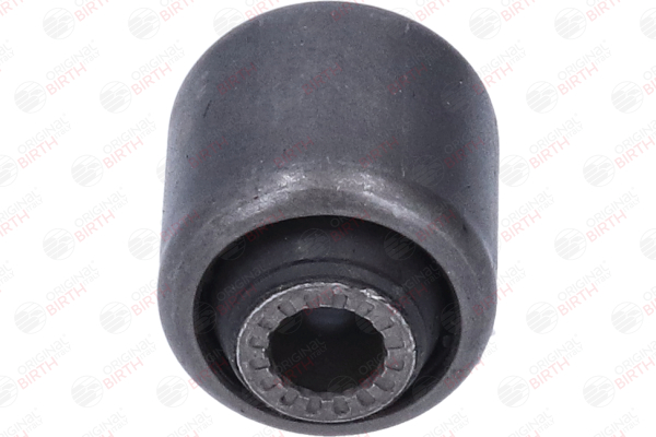 BIRTH Feste, styrestag 2061