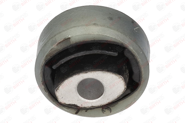 BIRTH Supporto braccio oscillante 2261