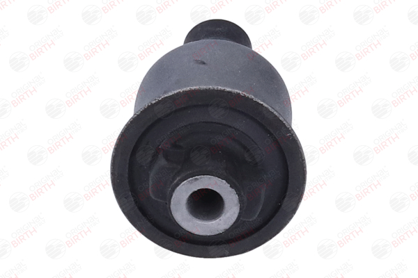 A2103308807 OE BIRTH Trailing arm / Suspension arm bush 2269