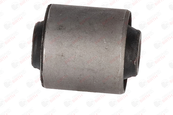 Suspensión, Brazo oscilante 513154 BIRTH 2370