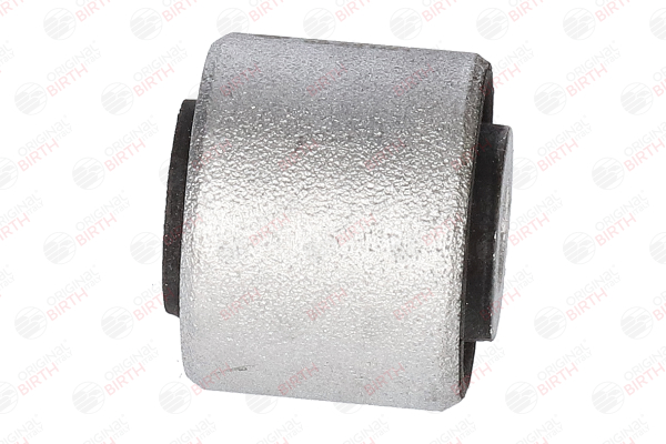 BIRTH Supporto braccio oscillante 2435