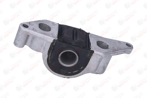 BIRTH 2518 Querlenkerbuchse FIAT Siena (178, 172) 1.0 Flex Benzin/Ethanol 75 PS 2012
