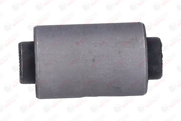 5456001G00 OE BIRTH Trailing arm / Suspension arm bush 2851