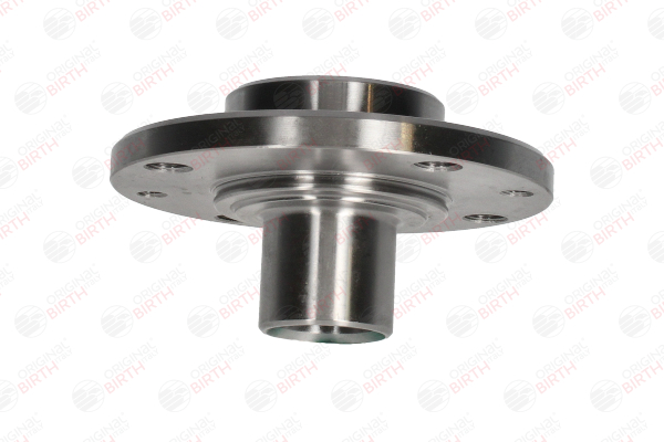 BIRTH Mozzo ruota 3155