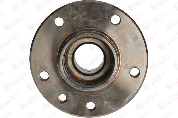 326181 OE BIRTH Wheel Hub 3269
