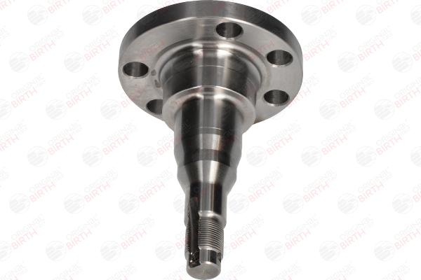 BIRTH 3270 Cache de moyeu VW Derby 2 1.3 Essence 55 CV 1983 prix