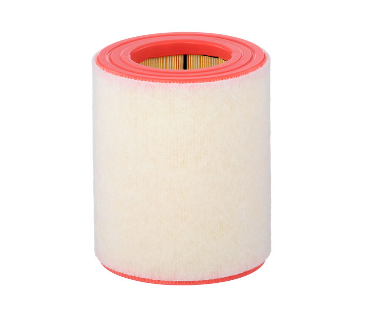 MANN-FILTER C 16 005 Zracni filter AUDI
