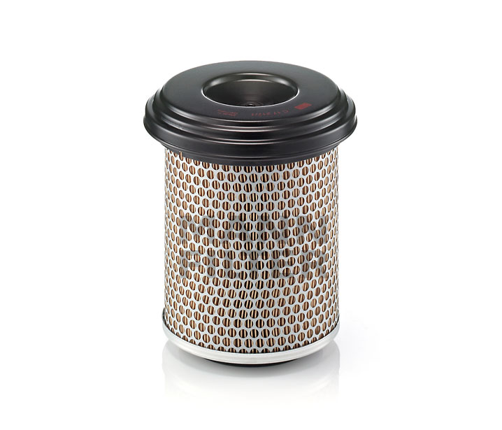 A0020949604 OE MANN-FILTER Zracni filter C 17 217/1