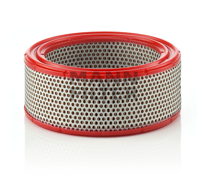 Filtro de aire 7701348025 MANN-FILTER C 2146