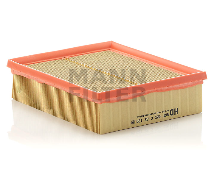 834618 OE MANN-FILTER Воздушный фильтр C 22 120