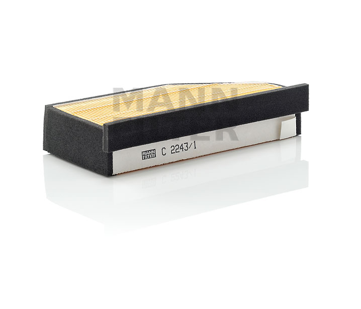 13711464916 OE MANN-FILTER Air filter C 2243/1