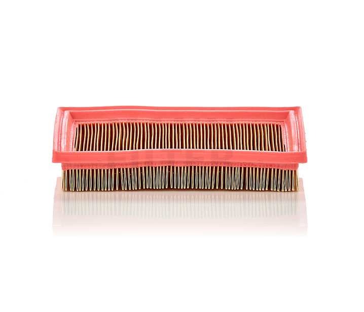 FORD FOCUS Luftfilter MANN-FILTER C 2244