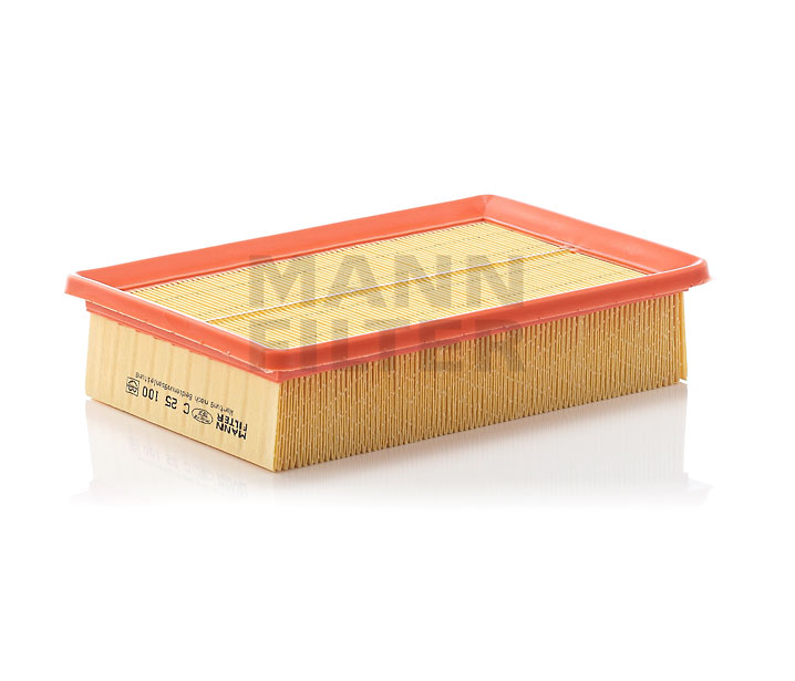 MANN-FILTER C 25 100 Filtro aria FIAT MAREA prezzo