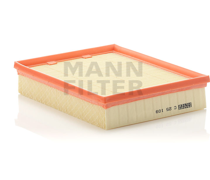 Filtre à air MANN-FILTER C 25 109 appropriées pour RENAULT pas cher