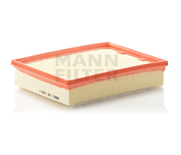 MANN-FILTER C 25 109/1 Luftfilter RENAULT LATITUDE pris