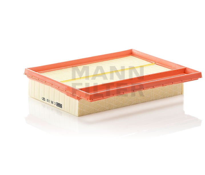 MANN-FILTER C 25 110-2 Filtre à air MAYBACH origine