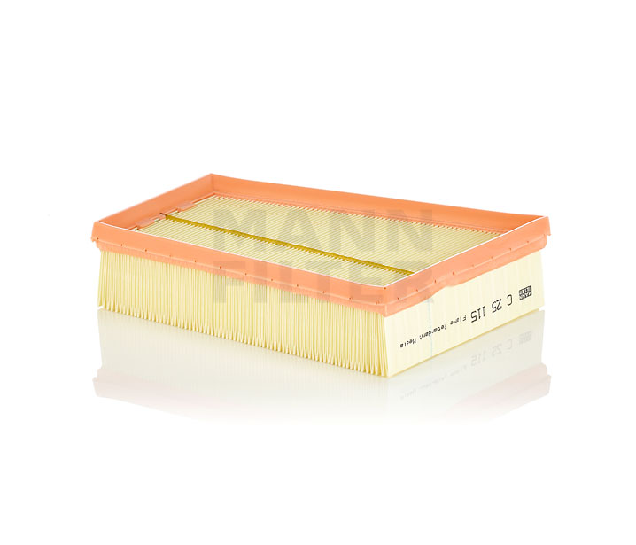 MANN-FILTER Filtro de ar C 25 115