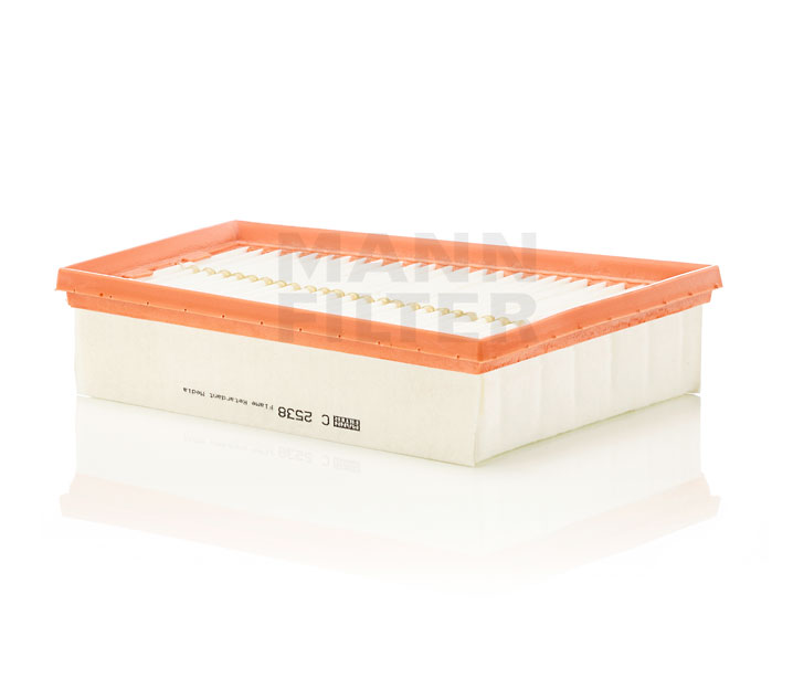 165469196R OE MANN-FILTER Zracni filter C 2538