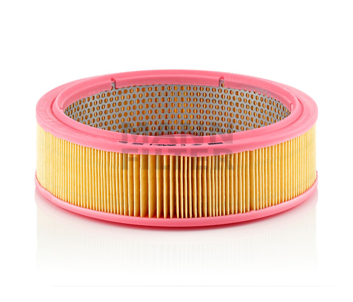Filtro de aire 1654689W00 MANN-FILTER C 2545/1