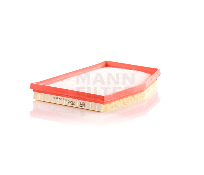 Costo filtro dell'aria PORSCHE CAYENNE MANN-FILTER C 2558/5