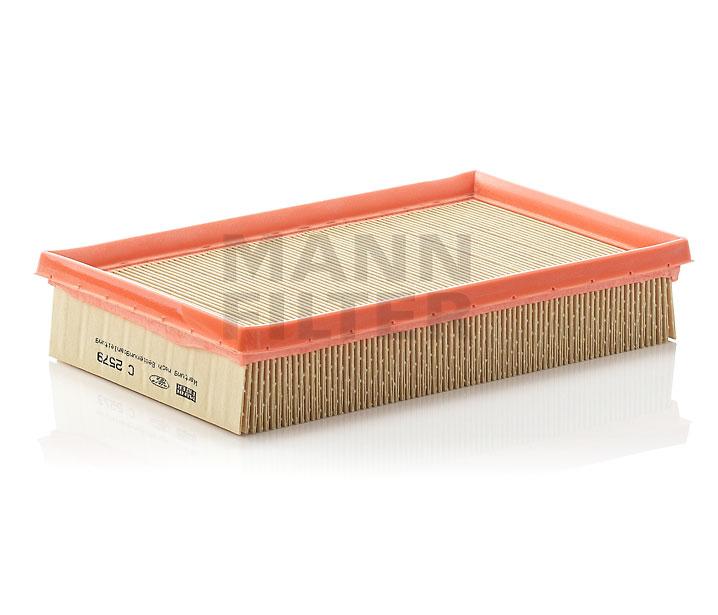 MANN-FILTER Filtro de ar C 2579
