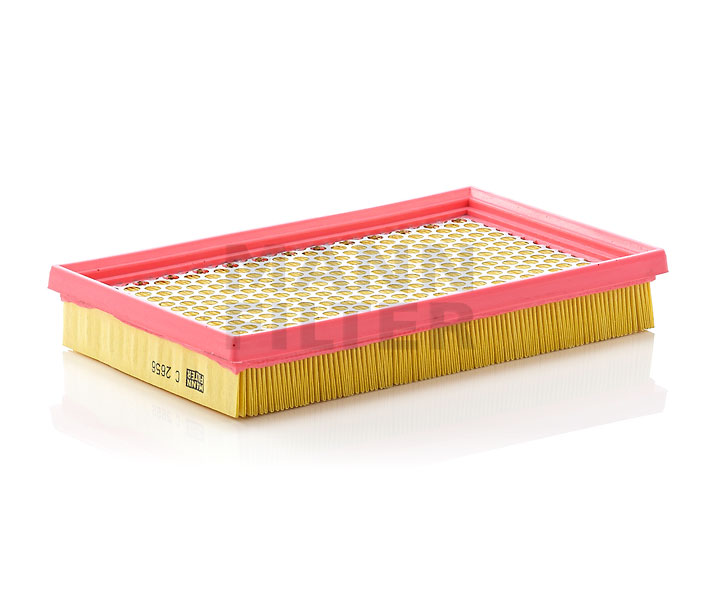 MANN-FILTER Filtro aria C 2656