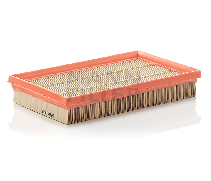 K04891691AA OE MANN-FILTER Filtro de ar C 2683