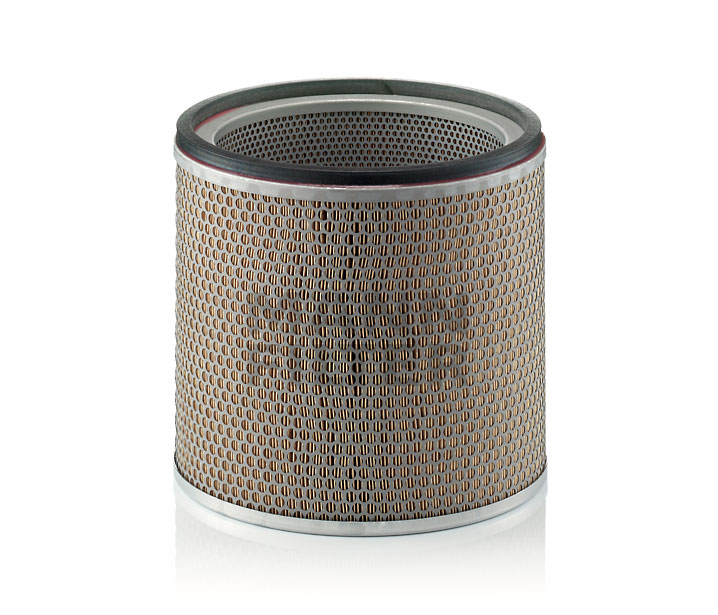 869553 OE MANN-FILTER Filtro aria C 29 352/1