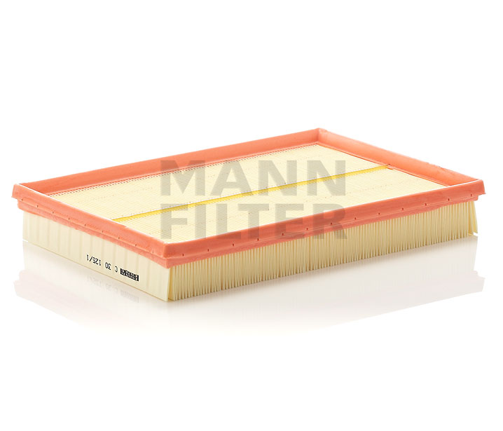 Filtro aria MANN-FILTER C 30 125/1 adatti per CHEVROLET prezzi economici
