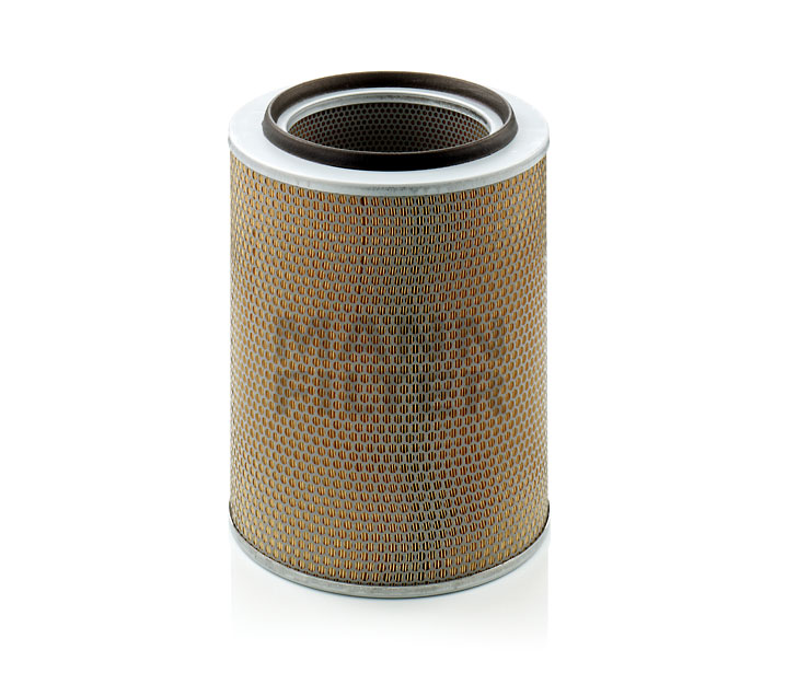 CH12387 OE MANN-FILTER Filtre à air C 30 703
