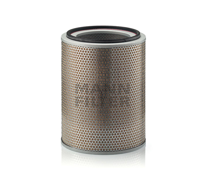 7411394 OE MANN-FILTER Air filter C 31 1256