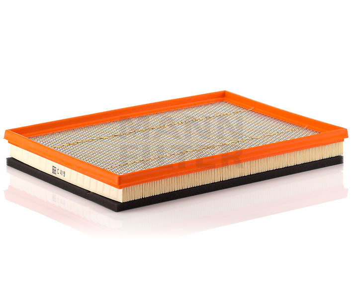 MANN-FILTER Luftfilter C 4019